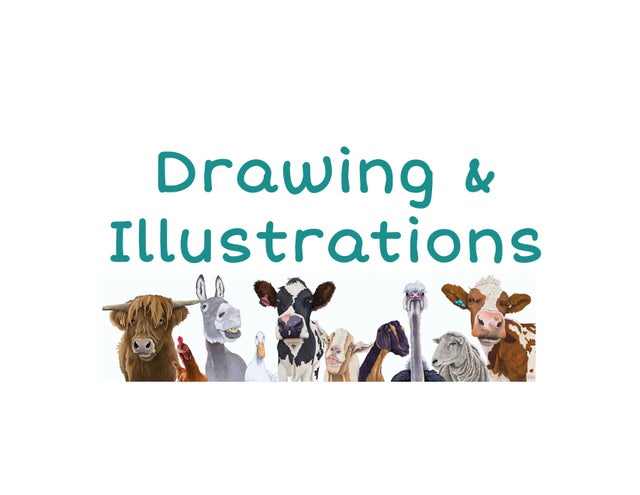 Original Artwork- Illustrations