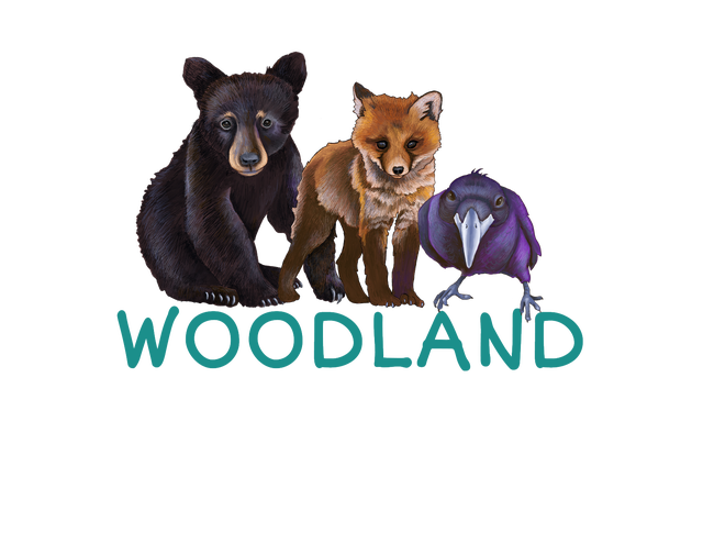 SHOP BY CRITTER - WOODLAND 