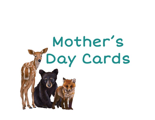 Cards - Mom Day