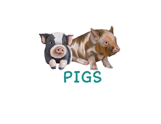 SHOP BY CRITTER - PIGS