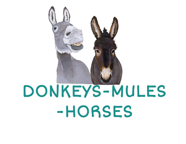 SHOP BY CRITTER - DONKEY/MULE/HORSE