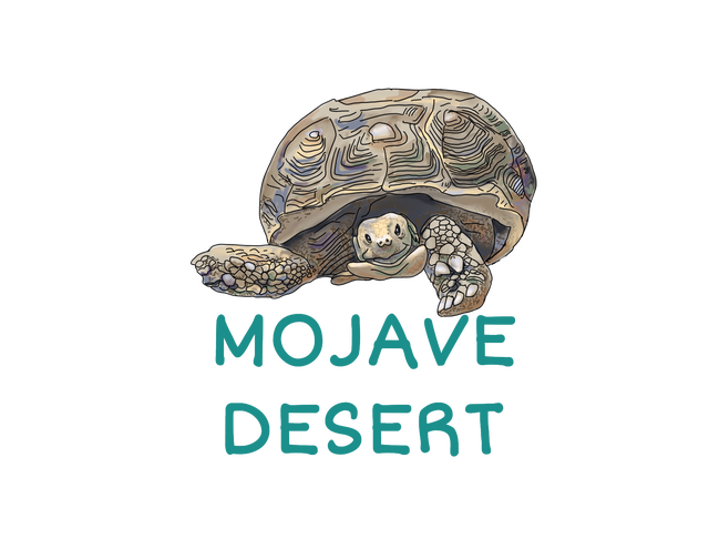 SHOP BY CRITTER -  DESERT WILDLIFE