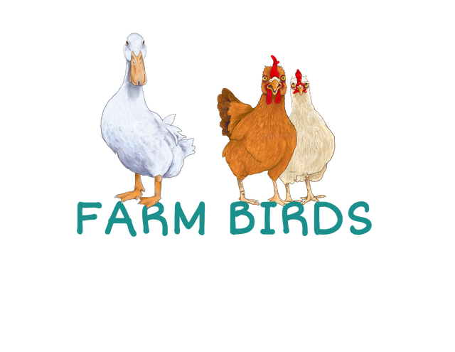 SHOP BY CRITTER - CHICKENS/FARM BIRDS