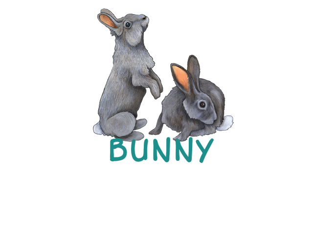 SHOP BY CRITTER - BUNNIES