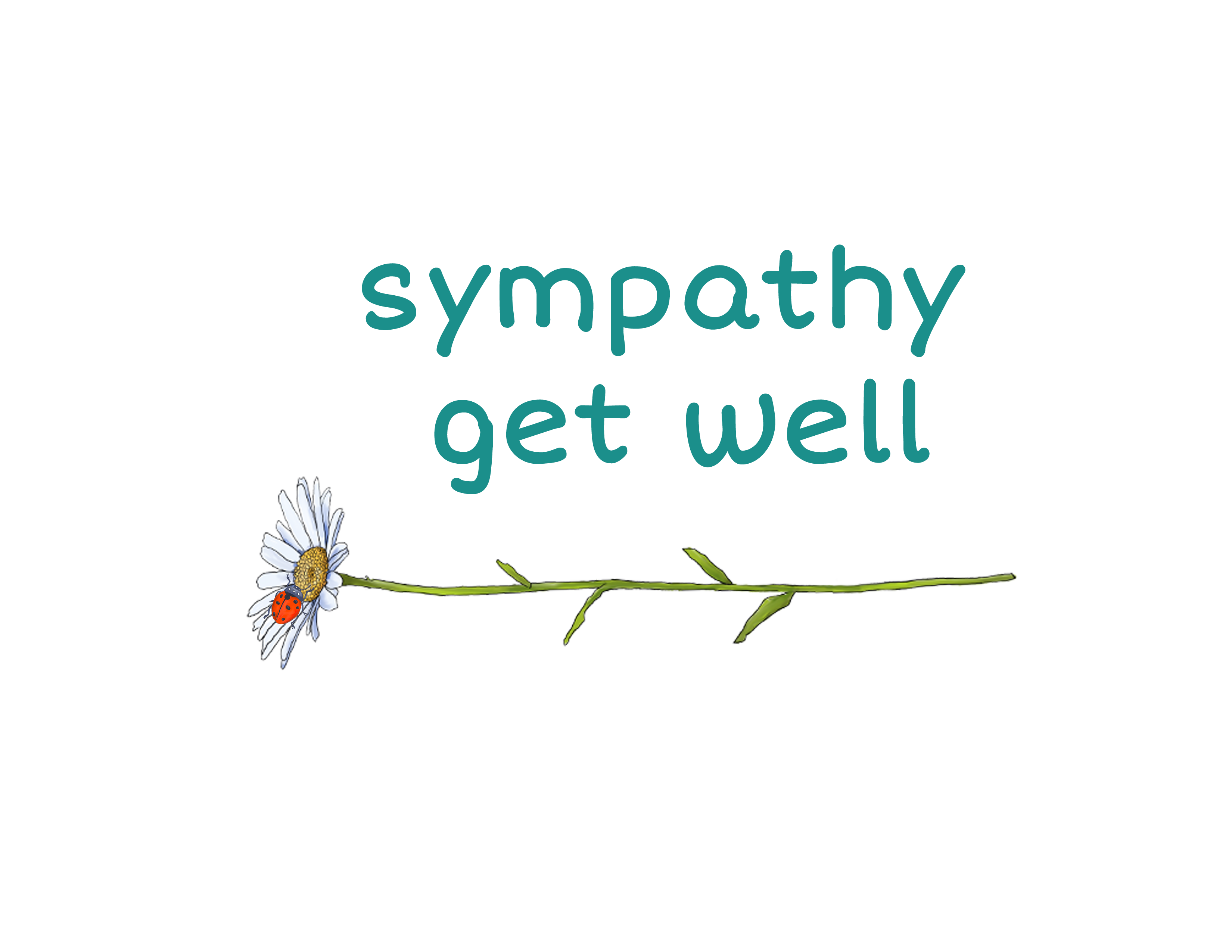 Cards - Sympathy / Get Well 